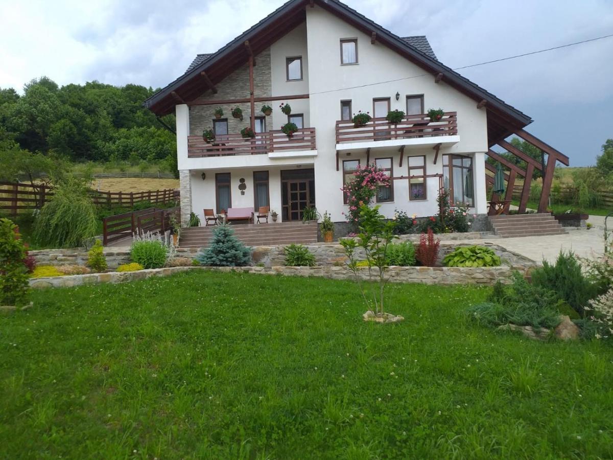 Hotel Pensiunea Doina Bucovinei à Mînăstirea Humorului Extérieur photo