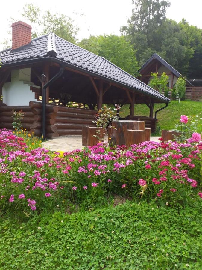 Hotel Pensiunea Doina Bucovinei à Mînăstirea Humorului Extérieur photo