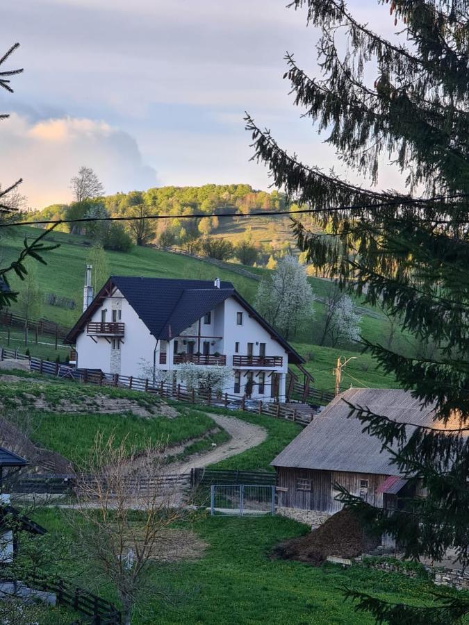 Hotel Pensiunea Doina Bucovinei à Mînăstirea Humorului Extérieur photo