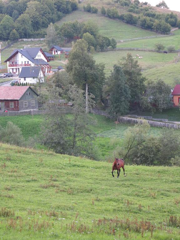Hotel Pensiunea Doina Bucovinei à Mînăstirea Humorului Extérieur photo